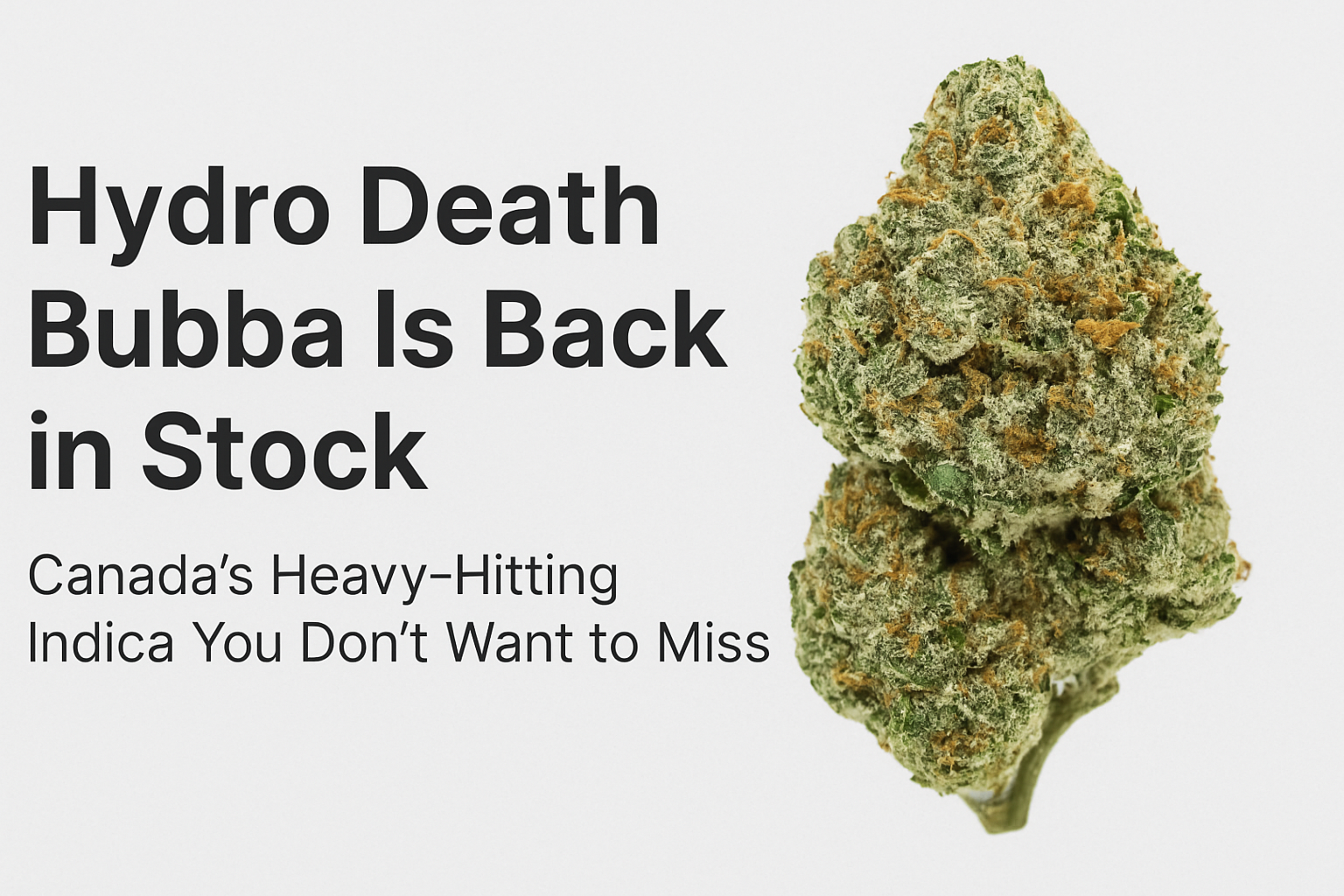 Hydro Death Bubba Is Back: Here’s Why This Indica Strain Deserves a Spot in Your Stash
