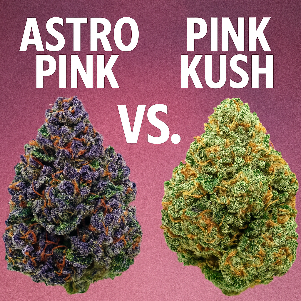 Astro Pink vs Pink Kush: Canada’s Top Indica Strains Compared