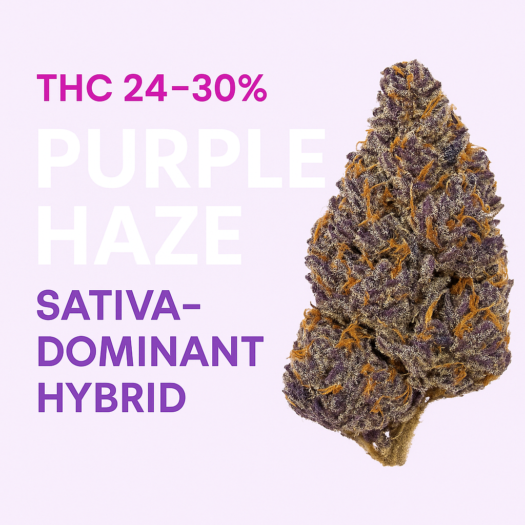 Purple Haze AAA+ Hybrid Strain Review | Bold Sativa Energy – The Purple Shop