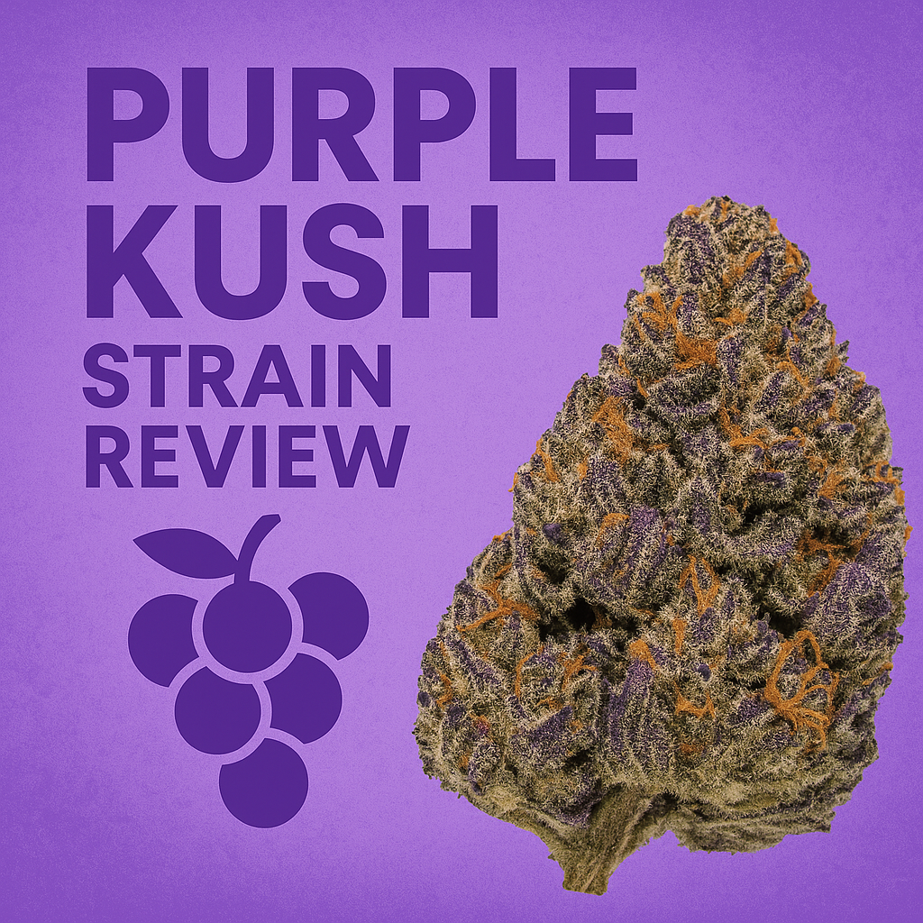 Purple Kush Strain Review (AAAA+ Indica) | The Purple Shop