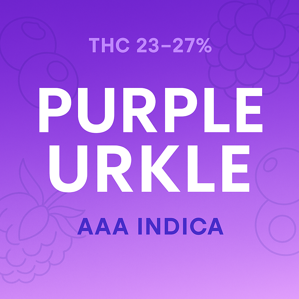 Purple Urkle AAA Indica | Berry Aroma, Smooth Relaxation | The Purple Shop