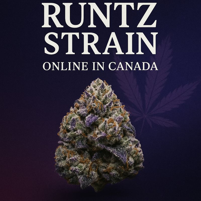 Buy Runtz Strain Online in Canada | OG & Galactic Runtz Guide