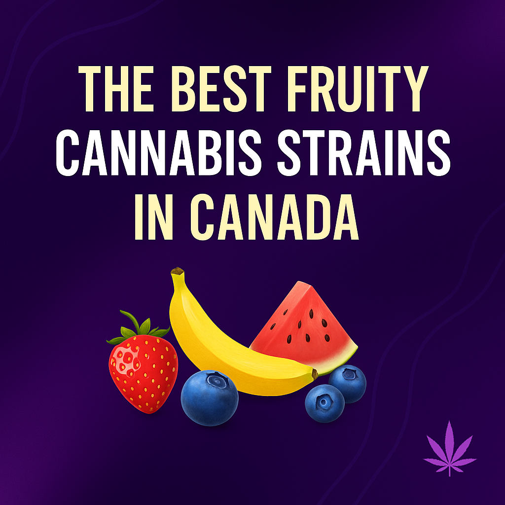 The Best Fruity Cannabis Strains in Canada: Flavour You Can Feel