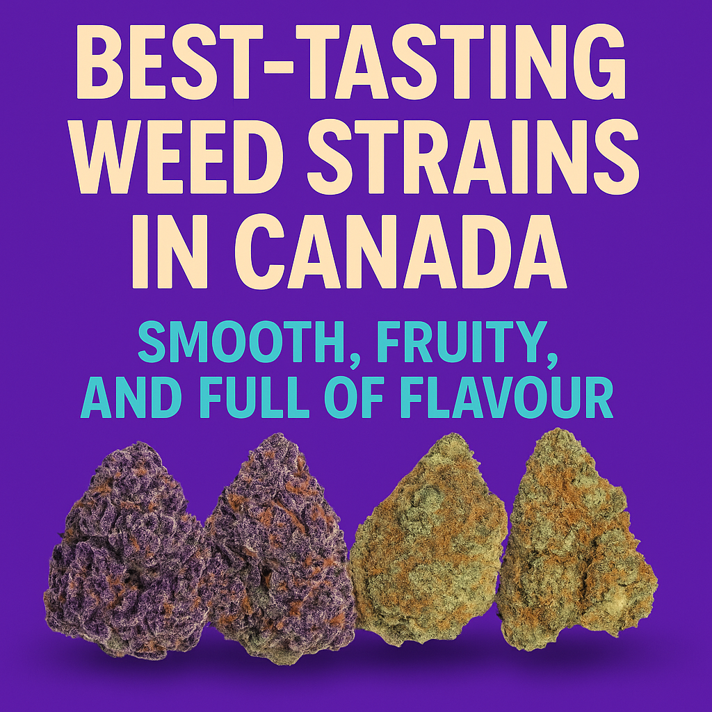 Best-Tasting Weed Strains in Canada | Smooth & Satisfying Picks