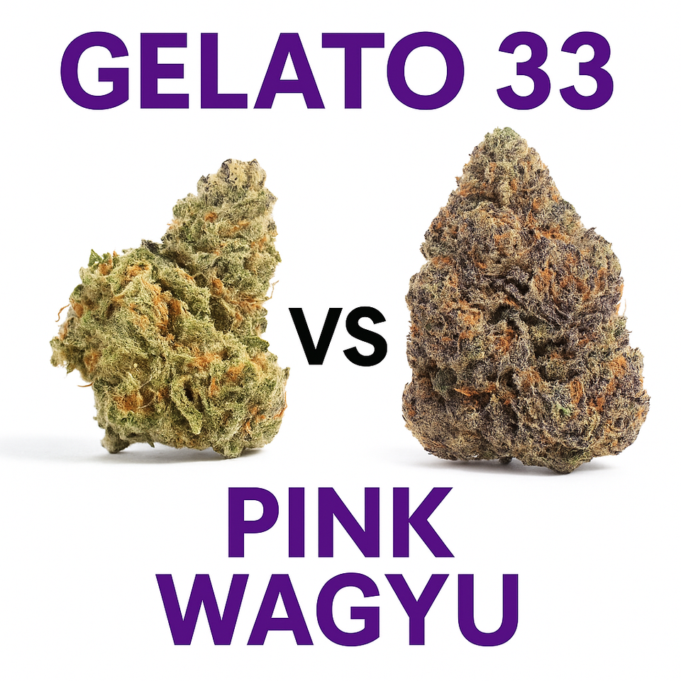 Gelato 33 vs Pink Wagyu: Canada’s AAAA Strain Showdown