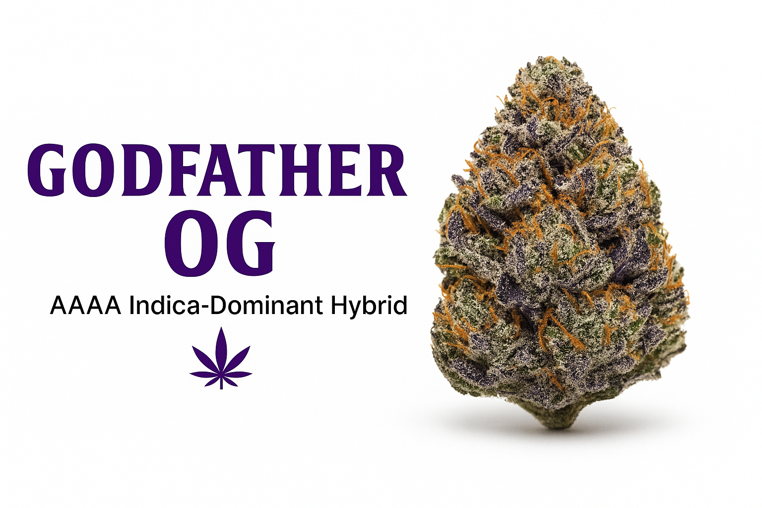 Godfather OG Strain Canada | AAAA Indica Hybrid – The Purple Shop