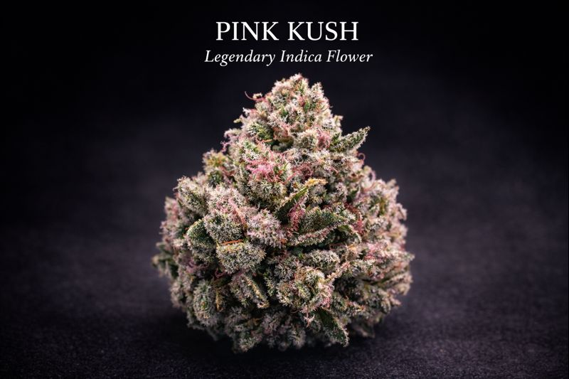 Pink Kush Flower for Sale in Canada | Premium Indica Online – The Purple Shop