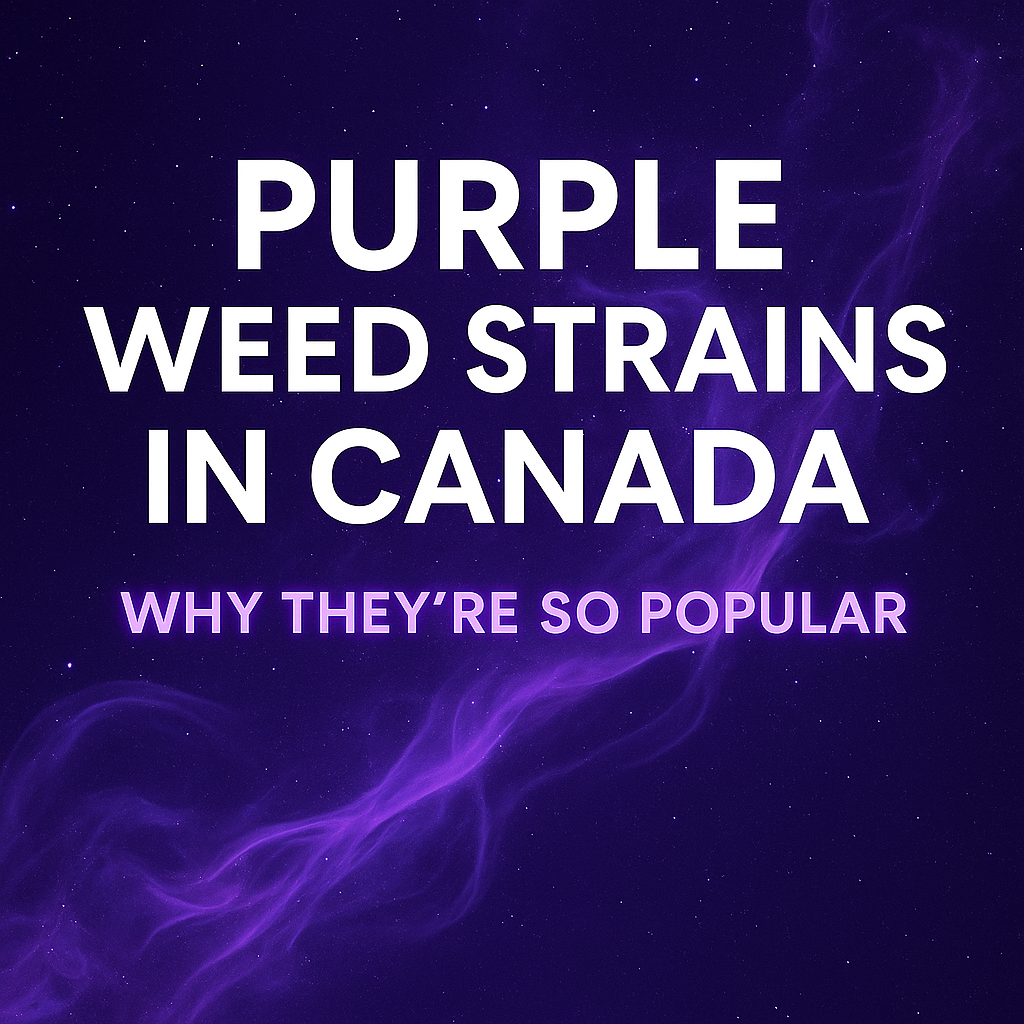 Purple Weed Strains in Canada | Why They’re So Popular (2025 Guide)
