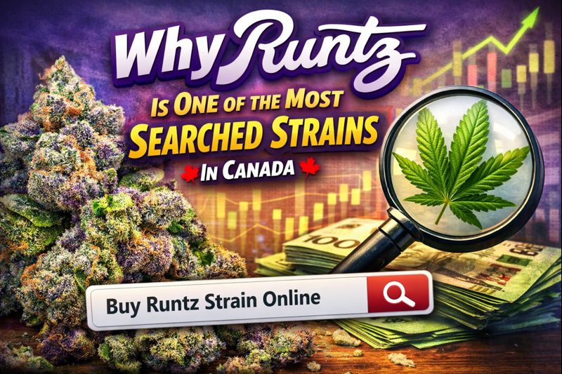 Why Runtz Is One of the Most Searched Strains in Canada
