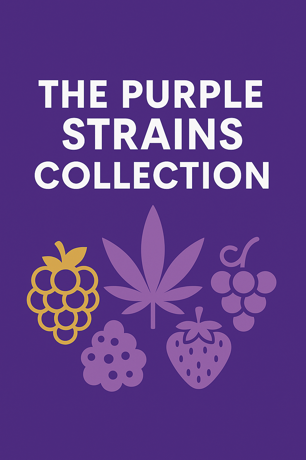 Purple Strains in Canada: Purple Kush| Purple Urkle | Purple Punch | The Purple Shop