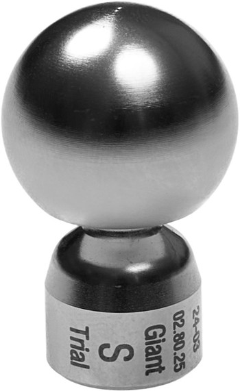 Product KYON Trial head-neck Giant Ø19, short | 02.80.25 Image