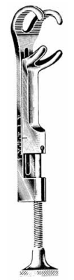 Product Spectrum Lambert-Lowman Bone Clamp, 7in (18cm), Straight, Turn Lock, 2x2 Jaws | SAH.35-1172 Image