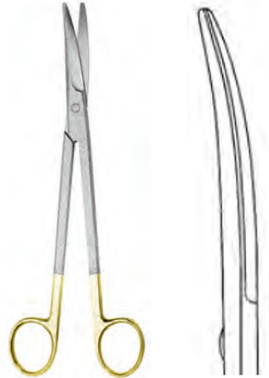 Product Spectrum Parametrium Scissor, 10.25" (26cm), Slight Curve, TC Blades | SAH.50-3001 Image