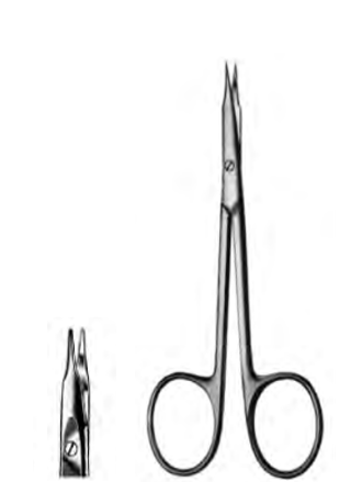 Product Spectrum Stevens Tenotomy Scissor, 4.38" (11cm), Straight, Blunt | SAH.50-5012 Image