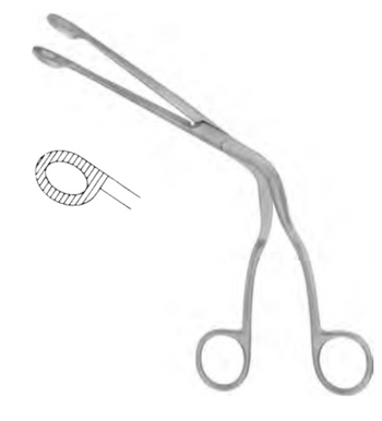 Product Spectrum Magill Catheter Forceps, 10" (25cm), Large Serrated Circular Tip | SAH.13-2522 Image