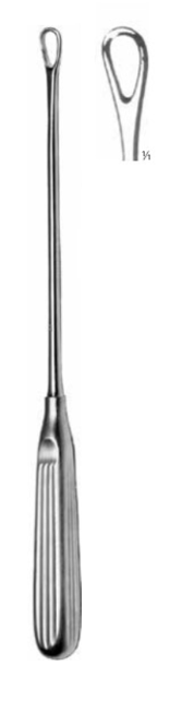 Product Vet Spectrum Thomas Uterine Curette, 11" (28cm), Blunt, 10mm | SAH.705001 Image