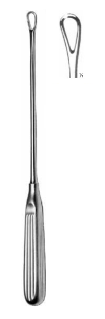 Product Vet Spectrum Thomas Uterine Curette, 11" (28cm), Blunt, 11mm | SAH.705002 Image