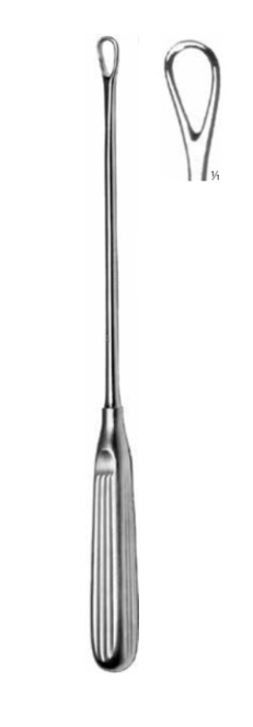 Product Vet Spectrum Thomas Uterine Curette, 11" (28cm), Blunt, 12mm | SAH.705003 Image