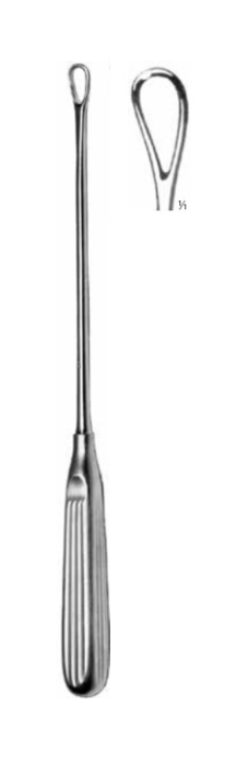 Product Vet Spectrum Thomas Uterine Curette, 11" (28cm), Blunt, 13mm | SAH.705004 Image