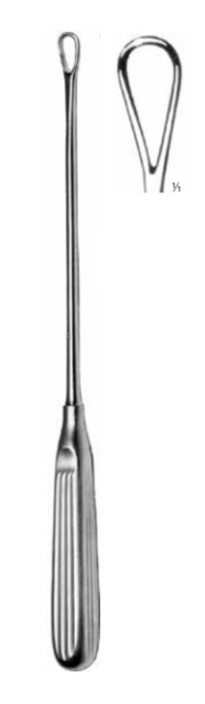 Product Vet Spectrum Thomas Uterine Curette, 11" (28cm), Blunt, 15mm | SAH.705006 Image