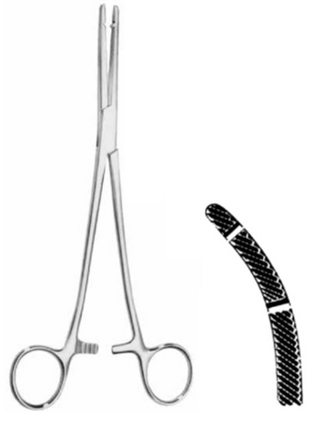 Product Vet Spectrum Heaney Forcep, 7.5" (19cm), Curved, Serrated, Double Jaw | SAH.720316 Image