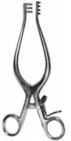 Product Vet Spectrum Weitlaner Retractor, 5" (13cm), 3x4 Prongs, Semi-Sharp | SAH.781005 Image