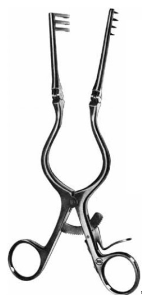 Product Vet Spectrum Cone (Weitlaner Sytle) Hinged Retractor, 6.5" (16.5cm), 3x4 Prongs, Sharp | SAH.781013 Image