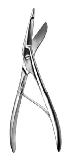 Product Vet Spectrum Seutin Bandage Scissor, 9" (23cm) | SAH.720810 Image