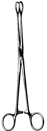 Product Spectrum Foerster Forcep, 8" (20cm), Curved, Serrated | SAH.60-2472 Image