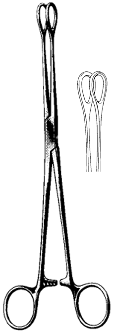 Product Spectrum Foerster Forcep, 7" (18cm), Straight, Smooth | SAH.60-2474 Image