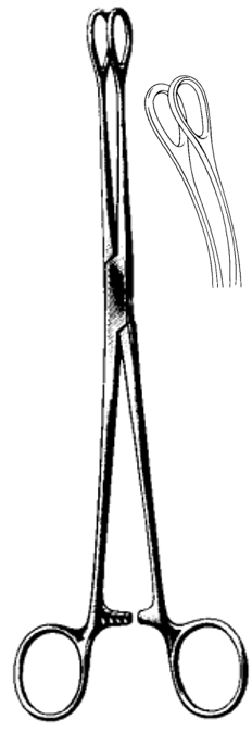 Product Spectrum Foerster Forcep, 10" (25cm), Curved, Smooth | SAH.60-2477 Image