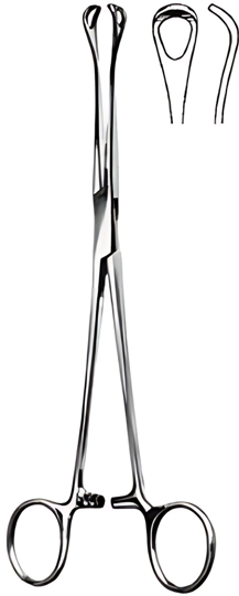 Product Spectrum Mayo-Blake Gallstone Forcep, 8" (20cm), Straight | SAH.60-2479 Image