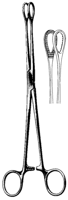 Product Spectrum Foerster Forcep, 7in., Curved, Serrated | SAH.60-2481 Image