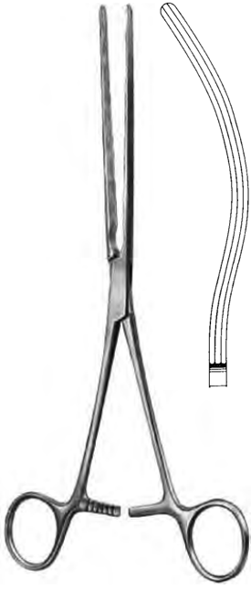Product Spectrum Kocher Intestinal Forcep 8.75" (22cm), Curved, Longitudinal Serrations | SAH.60-5224 Image
