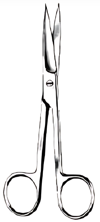 Product Spectrum Dressing (Operating) Scissor, 6", Straight, Sharp/Sharp | SAH.719838 Image