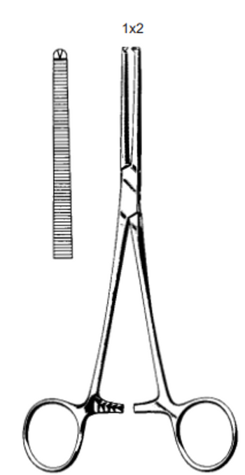Product Spectrum Rochester Ochsner Forcep, 6.25", Straight, 1x2 Teeth | SAH.720967 Image