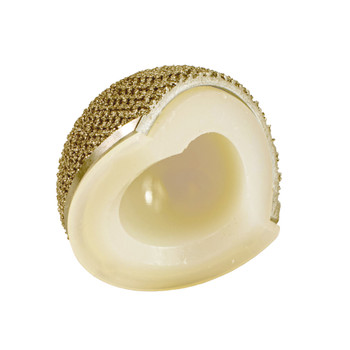 Product BioMedtrix BFX Acetabular Cup w HyProtect | 10-60-26-17 Image