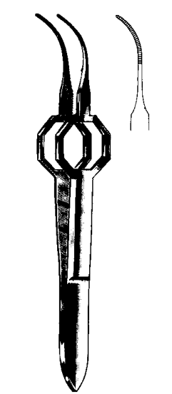 Product Spectrum Foerster Iris Dressing Forcep, 3.4 in. (8.5cm), Curved | SAH.24-7201 Image