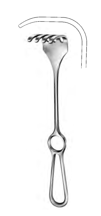 Product Spectrum Israel Retractor, 10" (25cm), 4 Prongs, Blunt (40x40mm) | SAH.20-1057 Image