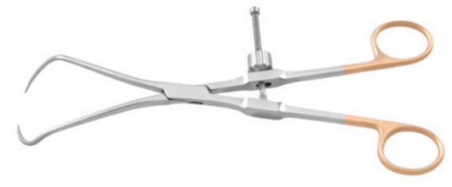 Product Spectrum Bone Reduction Forcep, 10" (25cm), AO Type Speedlock | SAH.20-2285 Image