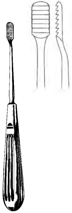 Product Spectrum Joseph (Lewis) Nasal Rasp, 7" (18 cm), Straight, Coarse Horizontal Serrations | SAH.20-8515 Image