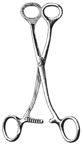 Product Spectrum Collin Tongue Forcep, 7" (18cm), Straight, Serrated Jaws | SAH.20-9903 Image