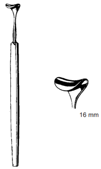 Product Spectrum Desmarres Retractor, Straight, 6.25" (16cm), 16mm | SAH.24-8403 Image