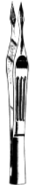Product Spectrum Carmalt Splinter Forcep, 4.1" (10.5cm), Straight | SAH.30-3681 Image