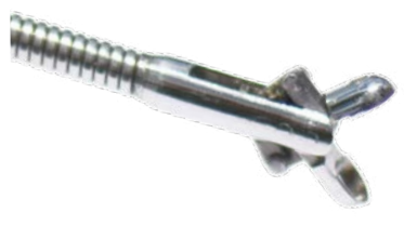 Product Spectrum Biopsy Forcep, Flexible, 2.3mm X 350cm, Round | SAH.3796 Image