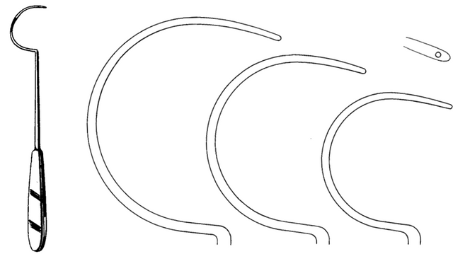 Product Spectrum Demel Wire Guide, 10.5" (27cm), Small Loop | SAH.41-1792 Image