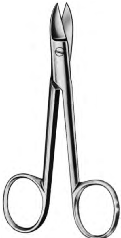 Product Spectrum Bee Bee Crown Scissors 4" (10.5cm), Straight | SAH.50-2211 Image