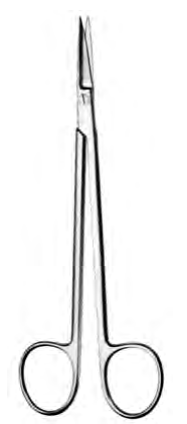 Product Spectrum Kelly Scissor, 6.25" (16cm), Curved, TC | SAH.50-2333 Image