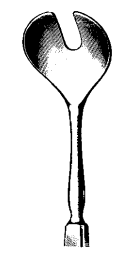 Product Spectrum Wells Enucleation Spoon, 6in. (15cm) | SAH.23-6402 Image