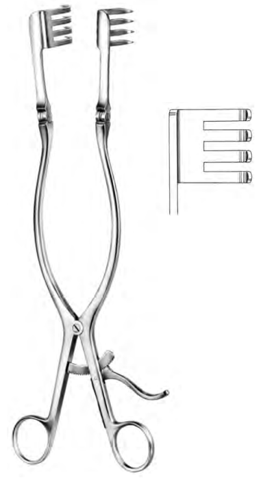 Product Spectrum Beckman-Adson Retractor, 12.25in. (31cm), 4x4 Teeth, Short Teeth, Blunt | SAH.25-9316 Image